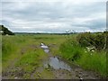 Soggy field entrance in KY7 6LF