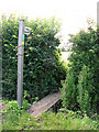 Footbridge over ditch beside Noller's Lane, Spexhall in Spexhall