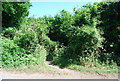 Bridleway off Long Mill Lane in TN15 8LL