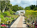 Display area at Coinros Nurseries in GL16 8LN