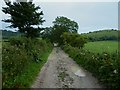 Farm track going south from Sullington in RH20 4AB