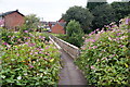 Footbridge over the River Roch in BL9 9UA