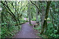 Path in woodland at Loch of Kinnordy in DD8 5RB