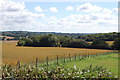 Fields off Sponden Lane in TN18 5NP