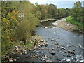 The River Wear looking down stream in DL13 2RY