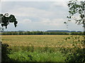 Farmland off the A1077 in DN15 9TE