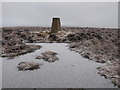 Peat pool and triangulation pillar on Newton Tors in Kirknewton