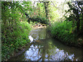 View of a stream near Little Clanfield Mill in OX18 2RP
