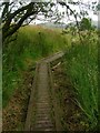 Duckboards on a path by the Hull Brook in OL3 5UT
