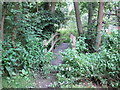 Footbridge over Stutton Brook in CO7 6UY