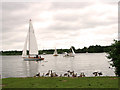 Boats on Wroxham Broad, Wroxham in NR13 6HB