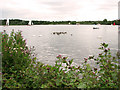 View across Wroxham Broad, Wroxham in NR13 6HB
