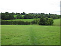 Looking towards Dodnash Valley in CO7 6XJ
