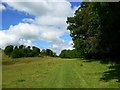 Bridleway towards Martinsell Hill, near Clench Common in SN8 4PA
