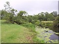 River Avon in BA14 6NR