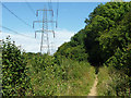 Bridleway 612 under the wires in RH14 0LG