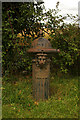 Pillar fountain, near Little Staughton in MK44 2JD