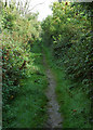 Footpath, Meadow Lane in DE65 6BT