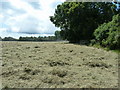 Making hay at Hammond's Mill Farm in BN6 9ND