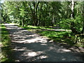 Spur off the old railway trackbed in Sirhowy Valley Country Park in NP11 7HZ
