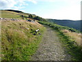 Bench beside the path below Craig Pen-rhiw-llech in Aberdare West Community