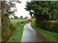 Road into Kettlebaston in Kettlebaston