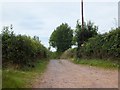Track to Rhode Farm (on Rode Moors) in EX5 4LR