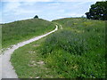 The hill at South Norwood Country Park in CR0 7BL