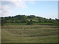 Grass fields being harvested by The Howe, Crook in LA8 8LJ