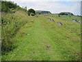 Footpath towards Harpur Hill near Hillhead Quarry in SK17 9SB