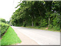 Pound Lane approaching Belmore Plantation, Thorpe St Andrew in NR7 0UU