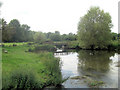 River Wylye at Steeple Langford in SP3 4NN