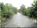 River Wylye from Stoford Bridge in SP2 0PJ