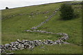 Ruined Wall, Upper Cales Dale in DE45 1JS