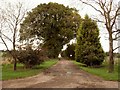 Approach road to Pudney's Farm in CM7 5DX