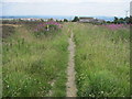 Footpath toward Scapegoat Hill School in HD7 4NS
