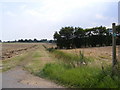 Footpath to White Foot Lane in Burgh
