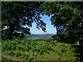Bank and ditch near Plas-y-gaer in LD3 8LH