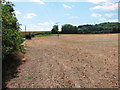 Harvested field off Pilgrims Way in ME2 1JS