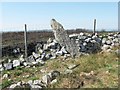 Pen-y-Coed Maen Hir, Standing stone in a wall in SA18 2UF