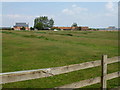 Paddock near Armley Lodge on the Hambleton peninsula in Rutland