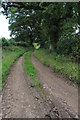 Track and bridleway, Whitton in SY8 3AD