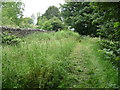 Footpath skirting Gelli Wrgan Farm in CF37 3PG