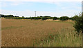 2011 : Wheatfield off London Road in SP3 4DW