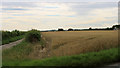 2011 : Wheatfield south of the B3086 in SP3 4DW