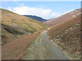On the old Stoneycroft mine road in Above Derwent