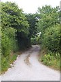 The track to Spain Farm in EX5 2BL