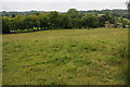 Farmland at Hope Bagot in SY8 3AE