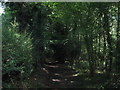 Byway in Great Molloms Wood in BR6 7LS