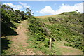 The path up to Gara Rock in TQ8 8PL